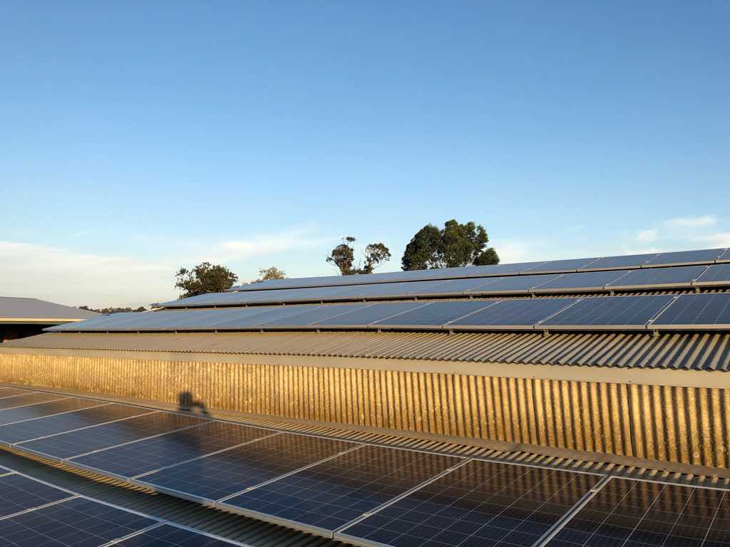 Vegetable Farm Solar